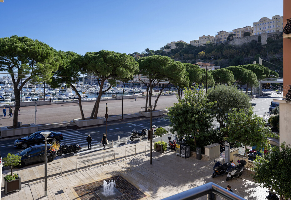 Beautiful 3-room mixed-use apartment - Le Petrel